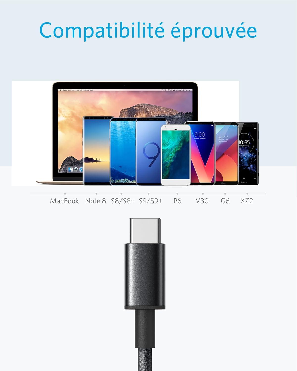 imageAnker USB C Cable 2 Pack USBA to USBC Charging Cable 331 USB C to USB 20 Dual Braided Nylon Type C Charging Cable for iPhone 1717 PlusPro17 ProMax Samsung Galaxy S10 LG V306ft RedBlack